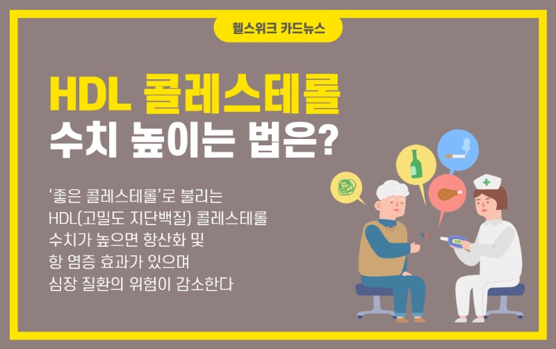 면역 강화: HDL 콜레스테롤 수치를 높이는 요령