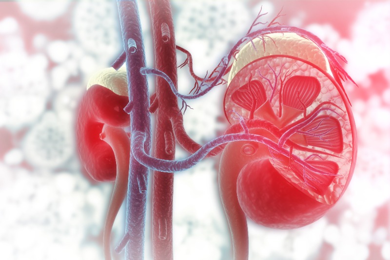 이기자의 타당] 신장 기능 저하된 '당뇨병성 신증', 자각 증상 있을까? - 헬스위크